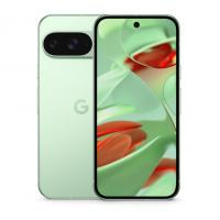 Google Pixel 9 256 ГБ («Зимнезелёный» | Wintergreen) (версия Global)