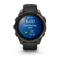 Умные часы Garmin FENIX 8 47mm Amoled Sapphire Carbon Gray DLC (010-02904-21)